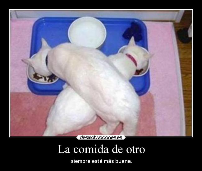 carteles comida alwayscool simepre pasa con bocata jamon york desmotivaciones