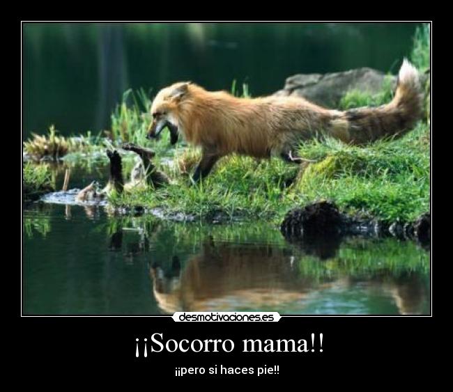 ¡¡Socorro mama!! - ¡¡pero si haces pie!!