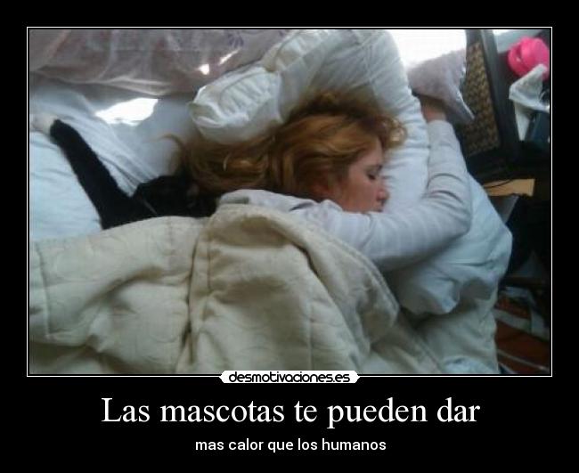 Las mascotas te pueden dar - 