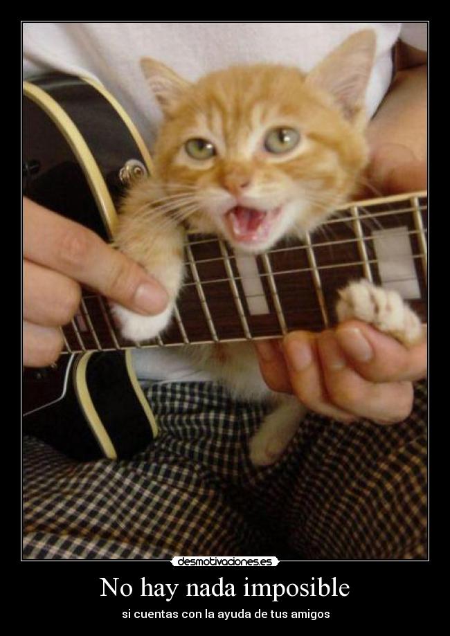 No hay nada imposible - si cuentas con la ayuda de tus amigos