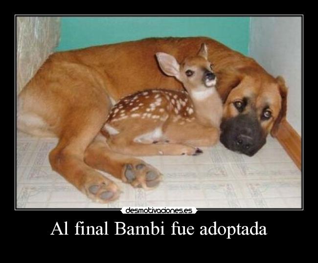 carteles pejota desmotivaciones