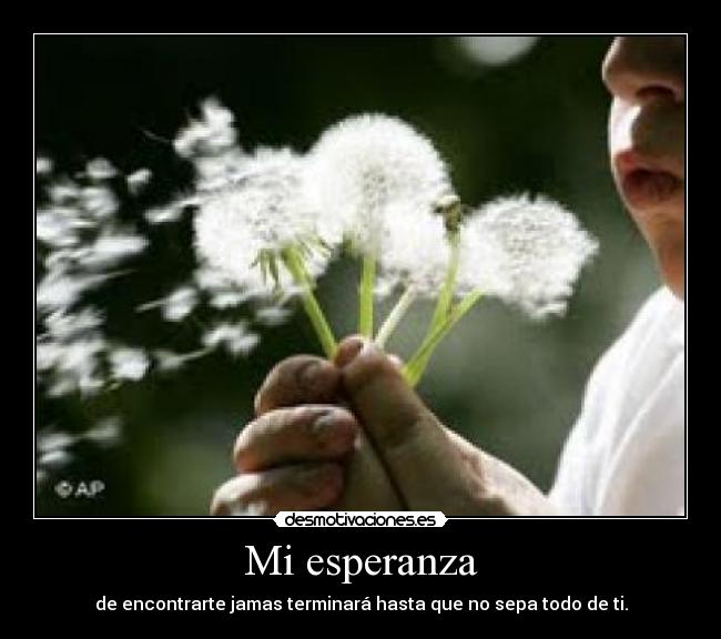 Mi esperanza - de encontrarte jamas terminará hasta que no sepa todo de ti.