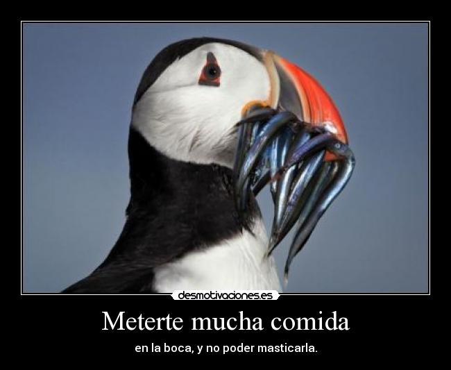 carteles comida alwayscool desmotivaciones