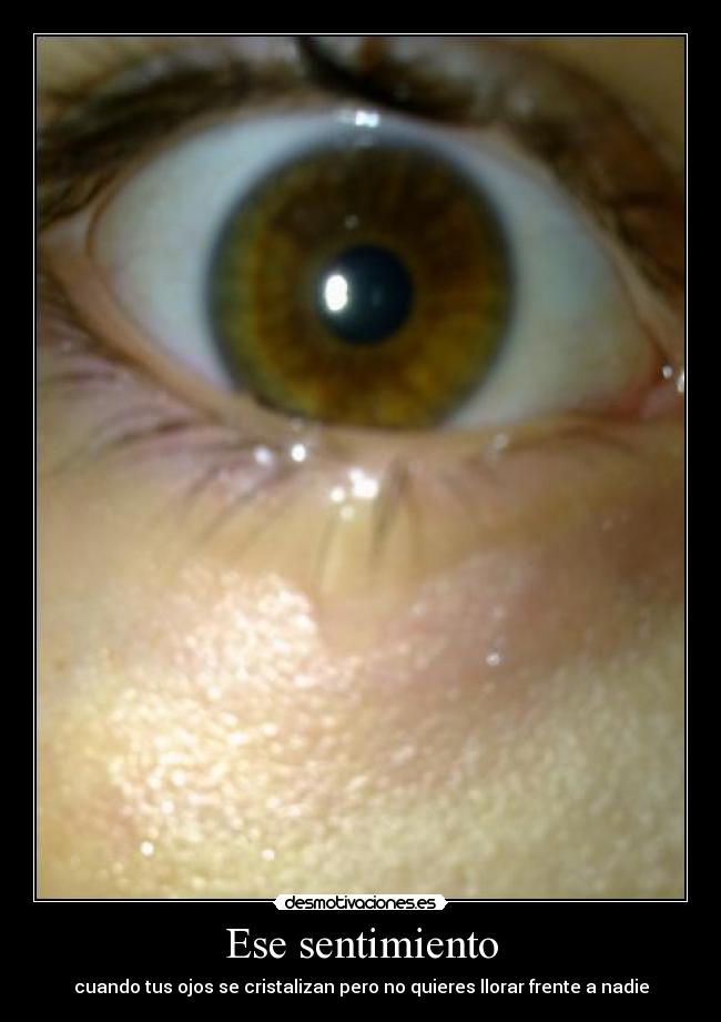 Ese sentimiento - 