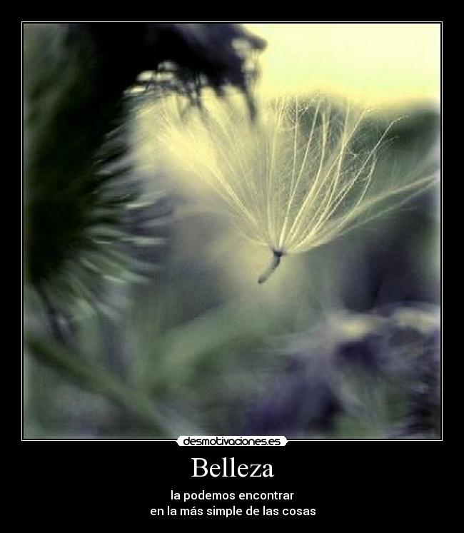 Belleza - la podemos encontrar
en la más simple de las cosas