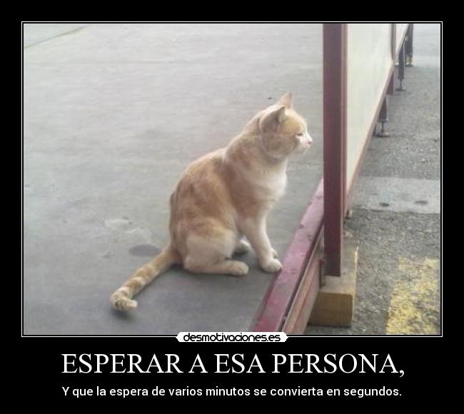 carteles isobaras7 desmotivaciones