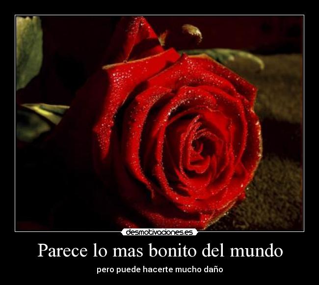 carteles mundo chiquinina desmotivaciones