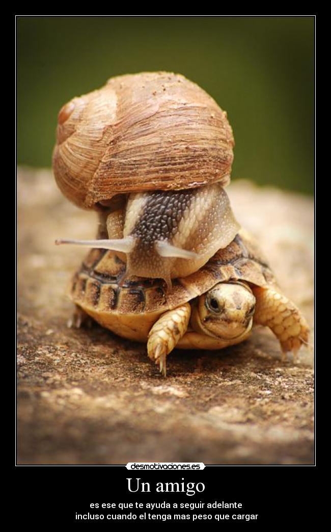 Un amigo - es ese que te ayuda a seguir adelante
incluso cuando el tenga mas peso que cargar