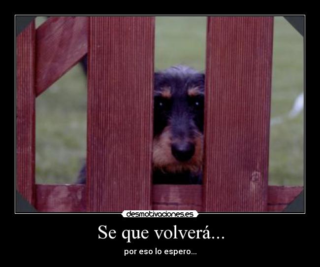 Se que volverá... -