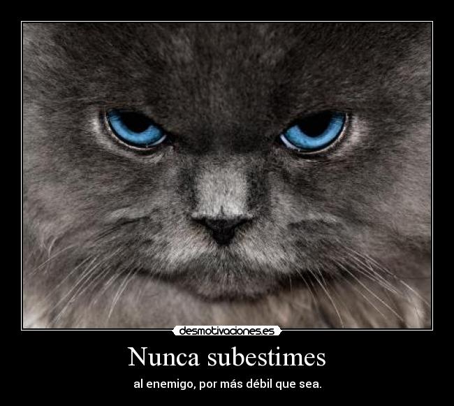 Nunca subestimes - al enemigo, por más débil que sea.