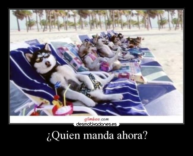 ¿Quien manda ahora? -