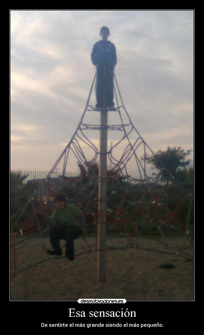 carteles sergio811 desmotivaciones