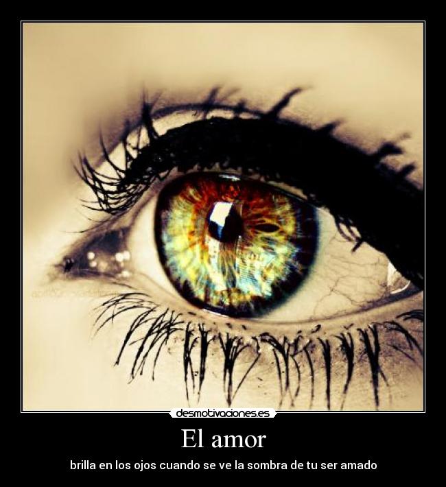 El amor - 