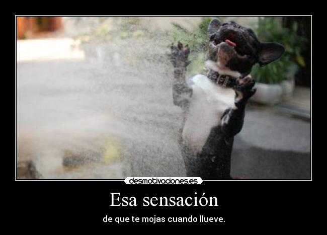 Esa sensación - 