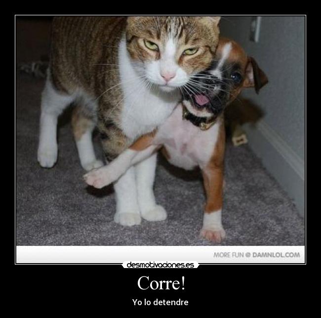 Corre! - Yo lo detendre