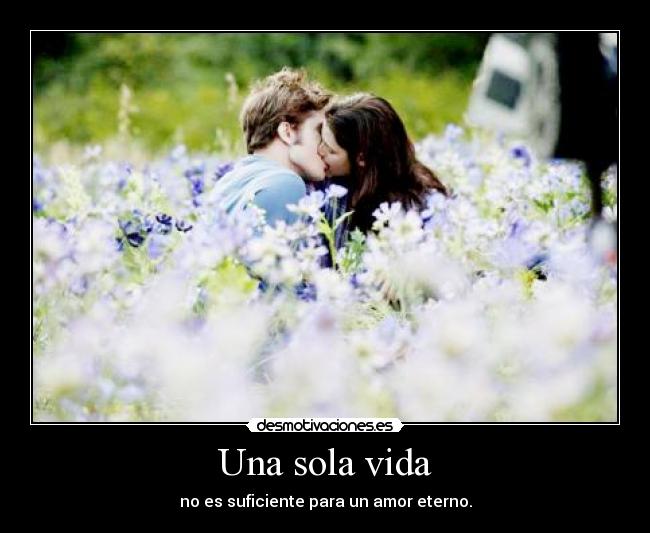 Una sola vida - no es suficiente para un amor eterno.