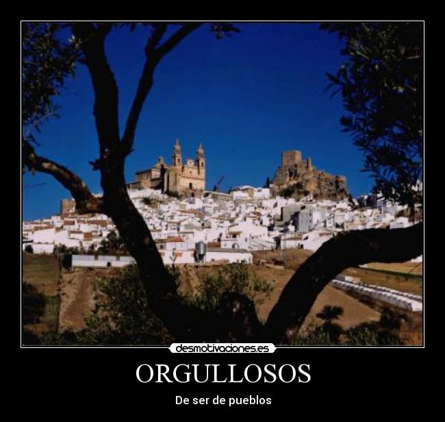 carteles reme medina desmotivaciones