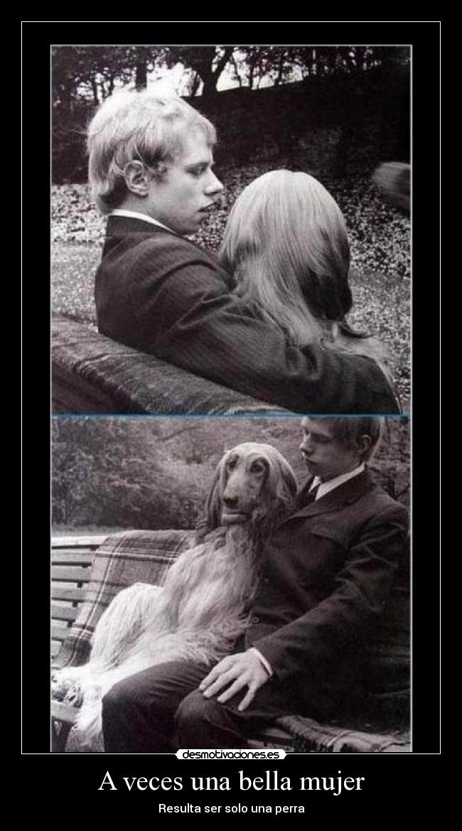 A veces una bella mujer - Resulta ser solo una perra
