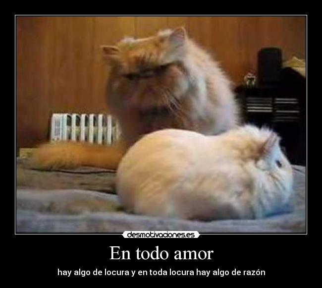 En todo amor -