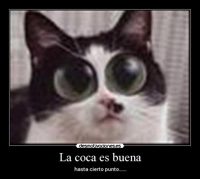 La coca es buena - hasta cierto punto......