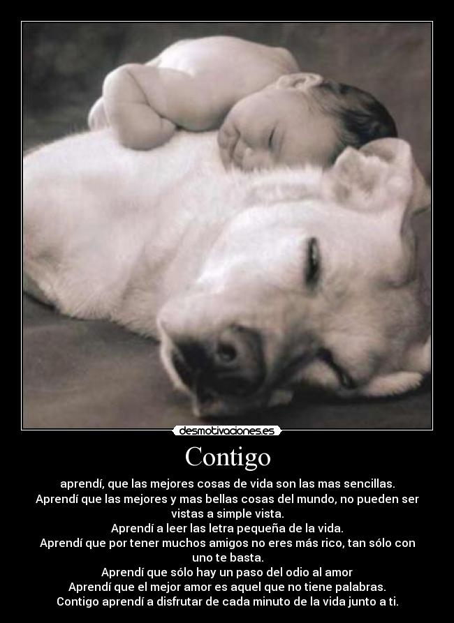 Contigo - aprendí, que las mejores cosas de vida son las mas sencillas.
Aprendí que las mejores y mas bellas cosas del mundo, no pueden ser
vistas a simple vista.
Aprendí a leer las letra pequeña de la vida.
Aprendí que por tener muchos amigos no eres más rico, tan sólo con
uno te basta.
Aprendí que sólo hay un paso del odio al amor
Aprendí que el mejor amor es aquel que no tiene palabras.
Contigo aprendí a disfrutar de cada minuto de la vida junto a ti.