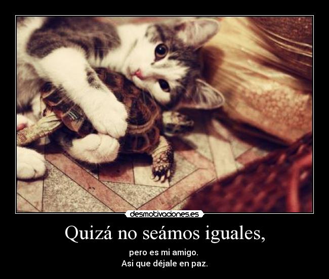Quizá no seámos iguales, -