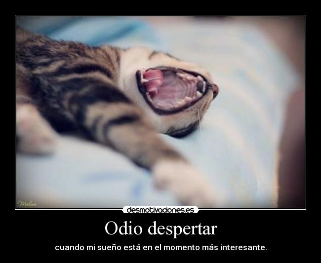 carteles odio sonar con cosas que gustaria que pasaran despertarte mejor momento desmotivaciones