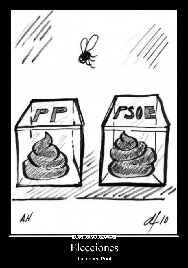 Elecciones - La mosca Paul