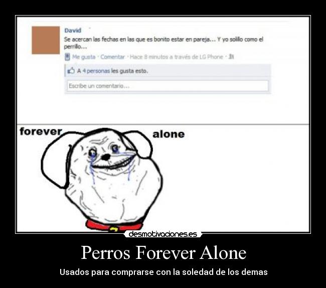 Perros Forever Alone - Usados para comprarse con la soledad de los demas