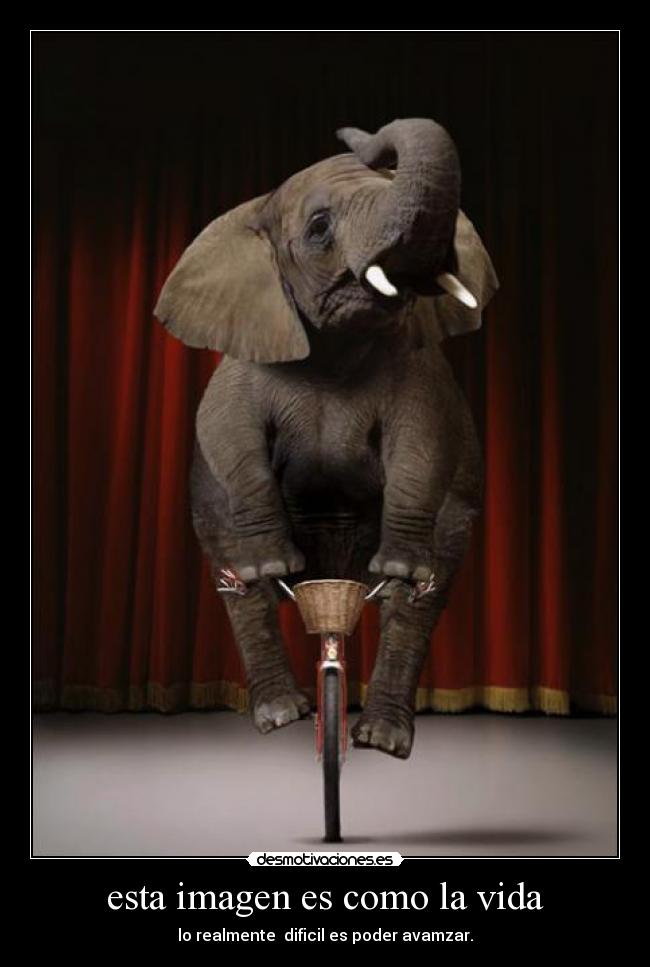 carteles vida jhajho desmotivaciones desmotivaciones