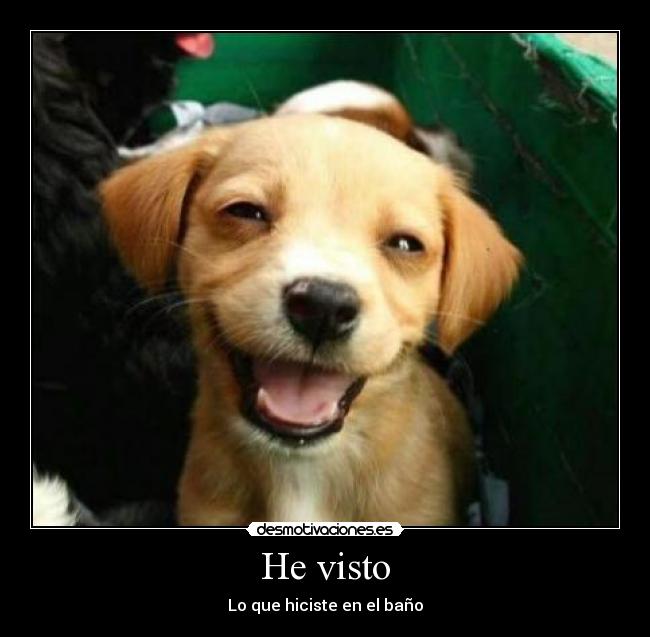 He visto - Lo que hiciste en el baño