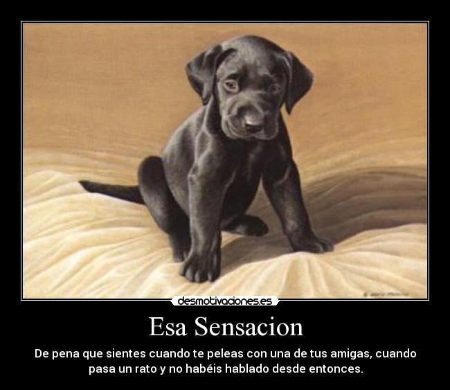 Esa Sensacion - De pena que sientes cuando te peleas con una de tus amigas, cuando
pasa un rato y no habéis hablado desde entonces.