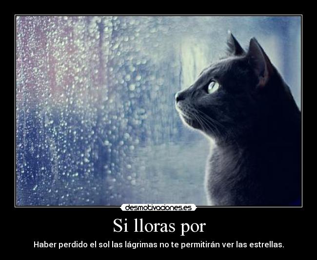 Si lloras por -