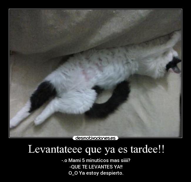 Levantateee que ya es tardee!! -