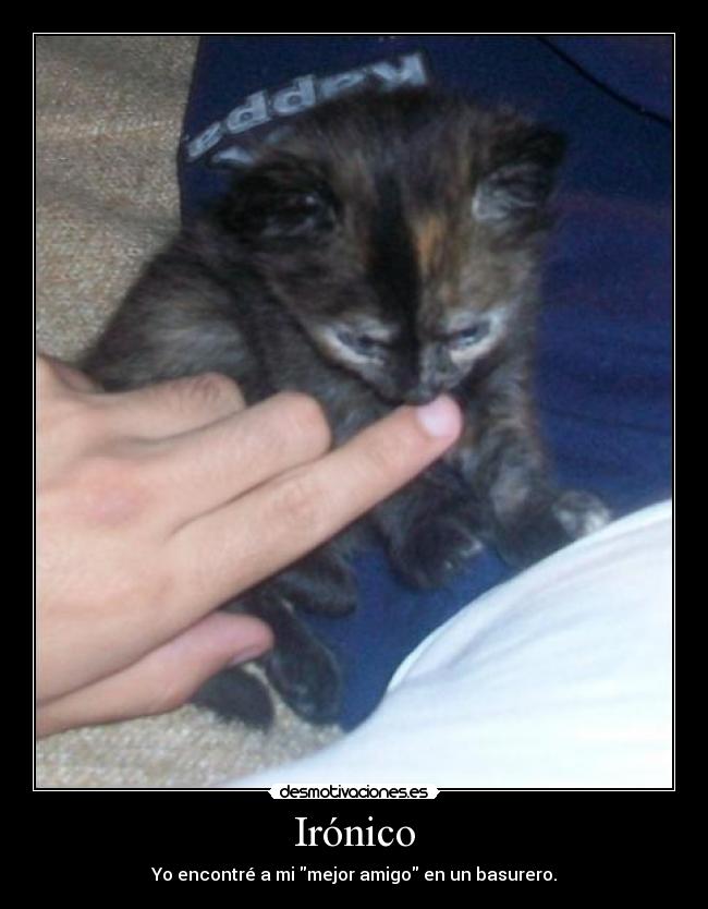 Irónico - Yo encontré a mi mejor amigo en un basurero.