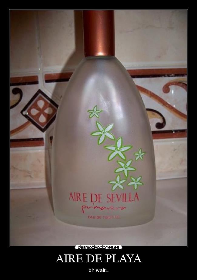 carteles sevilla playa sisisi desmotivaciones