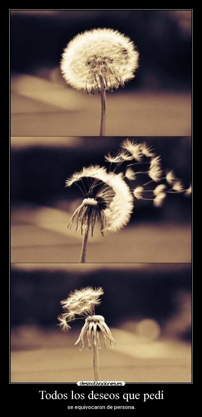Todos los deseos que pedí - se equivocaron de persona.