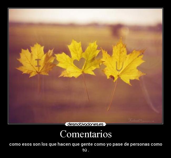 Comentarios - 