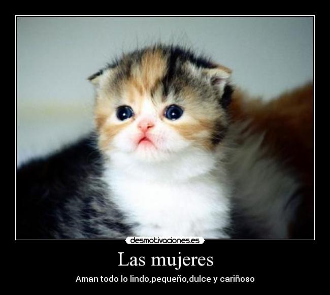 Las mujeres - Aman todo lo lindo,pequeño,dulce y cariñoso