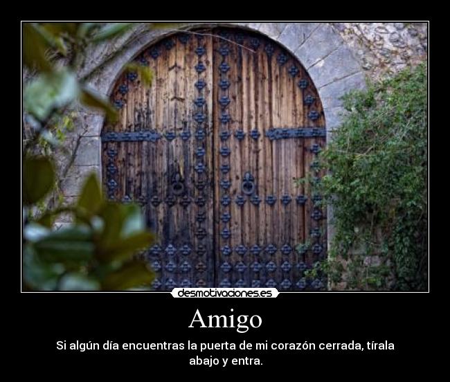 Amigo - 