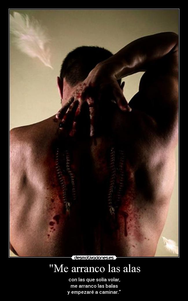 Me arranco las alas - con las que solía volar,
me arranco las balas
y empezaré a caminar.