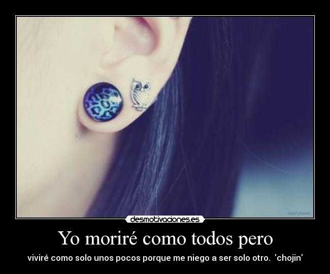 carteles srta montana desmotivaciones