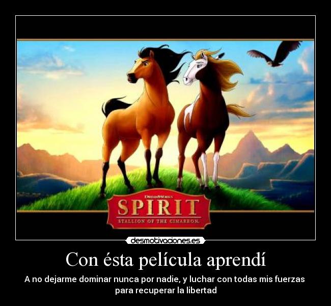 Con ésta película aprendí - 
