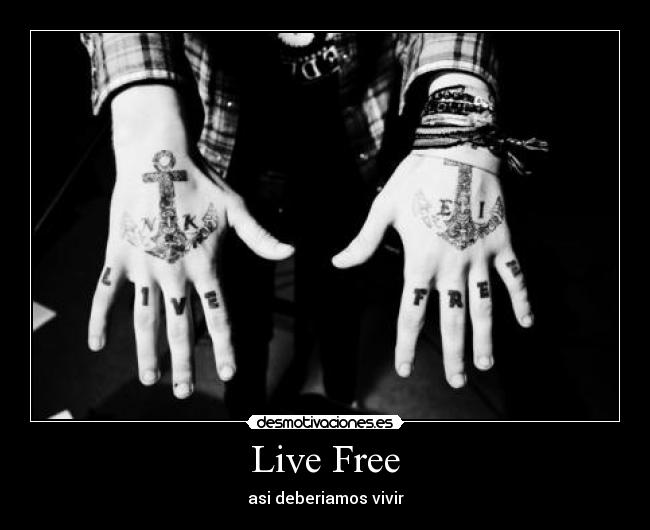 carteles ivis barrios desmotivaciones