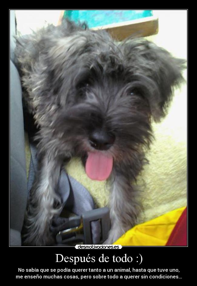 Después de todo :) -