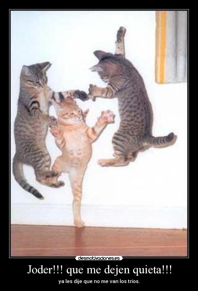 Joder!!! que me dejen quieta!!! - ya les dije que no me van los tríos.