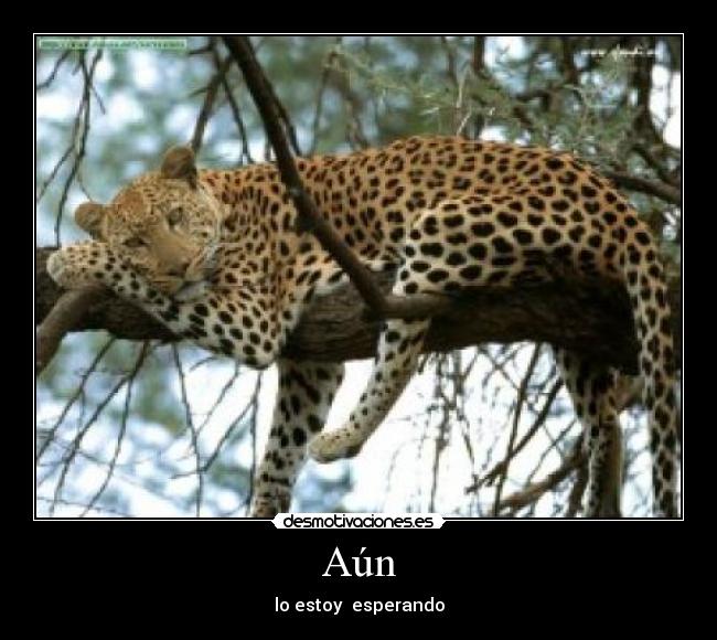 Aún - lo estoy esperando