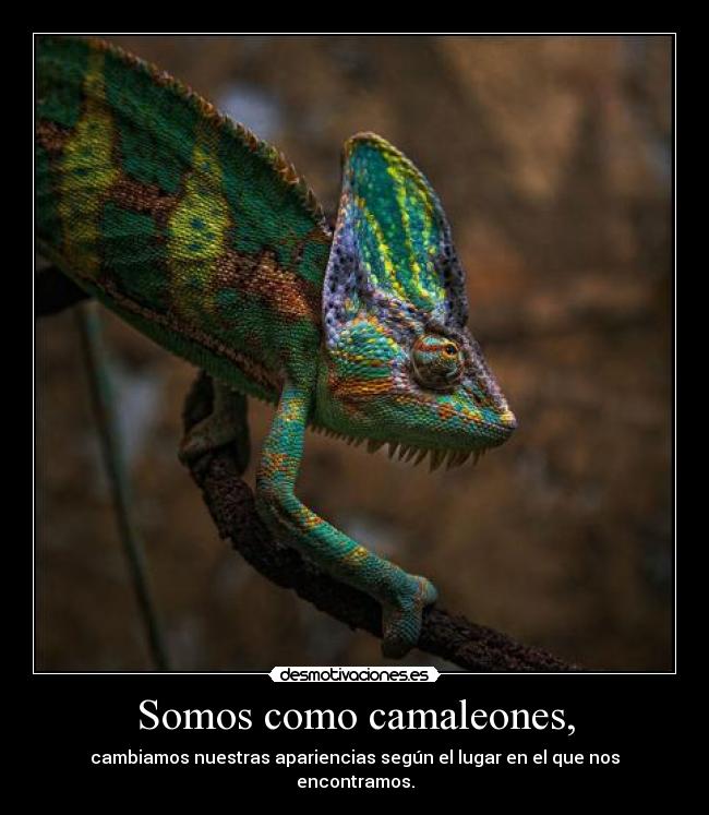 carteles apolinario desmotivaciones