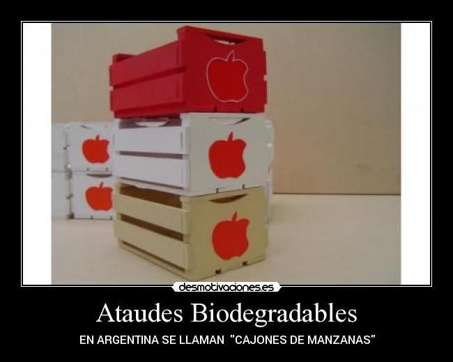 Ataudes Biodegradables - EN ARGENTINA SE LLAMAN CAJONES DE MANZANAS