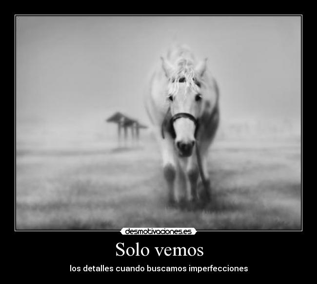 Solo vemos - los detalles cuando buscamos imperfecciones